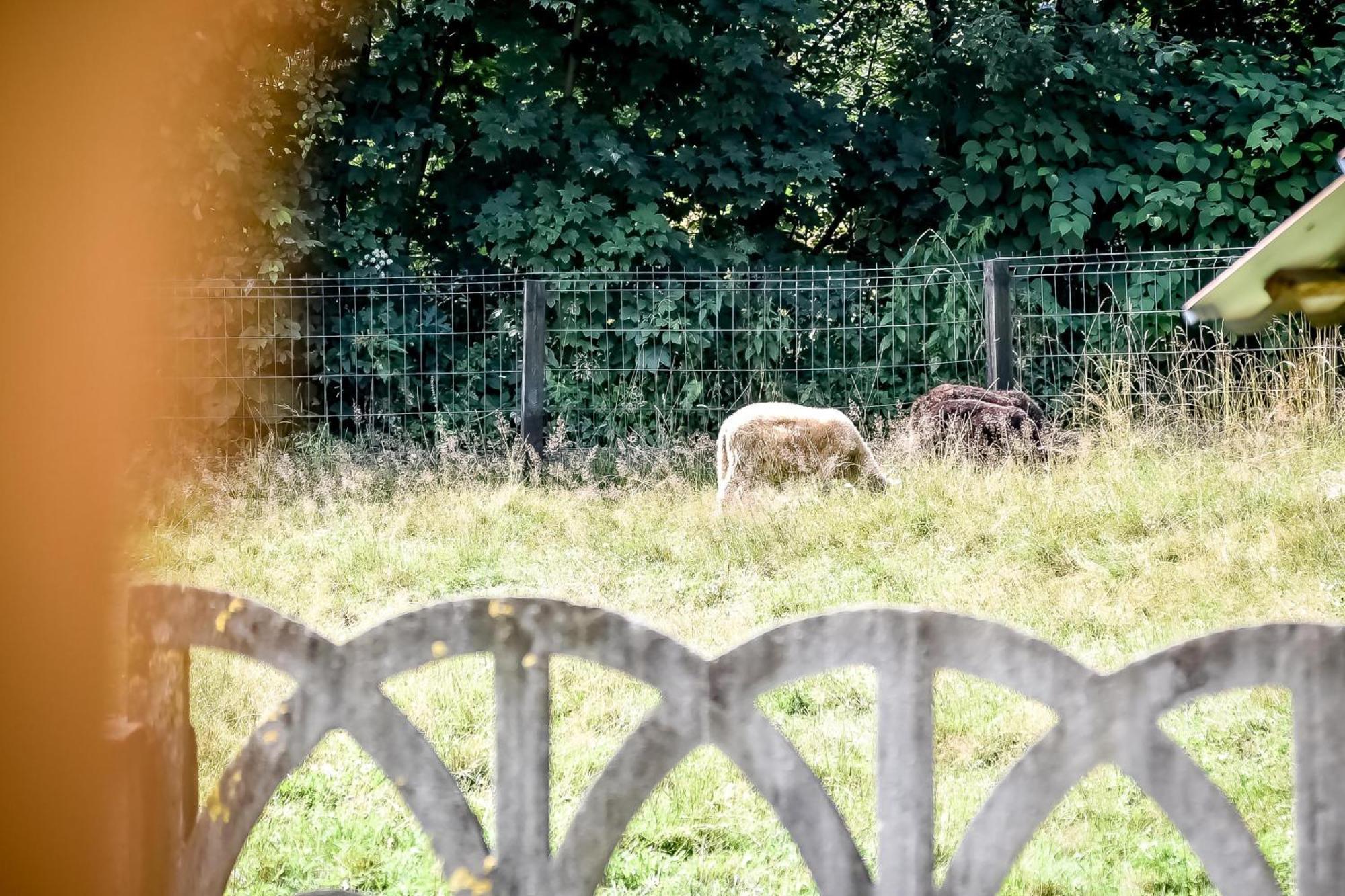 Domek Pod Brzyzkiem Białka Tatrzańska Εξωτερικό φωτογραφία